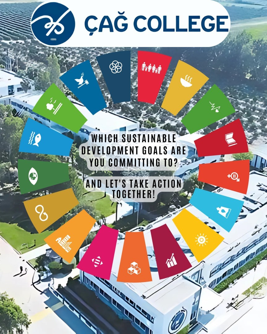 MIDDLE SCHOOL SUSTAINABLE DEVELOPMENT GOALS